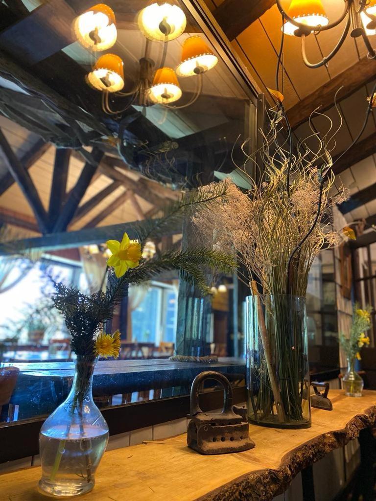 The Patagonian Lodge كويهايك المظهر الخارجي الصورة