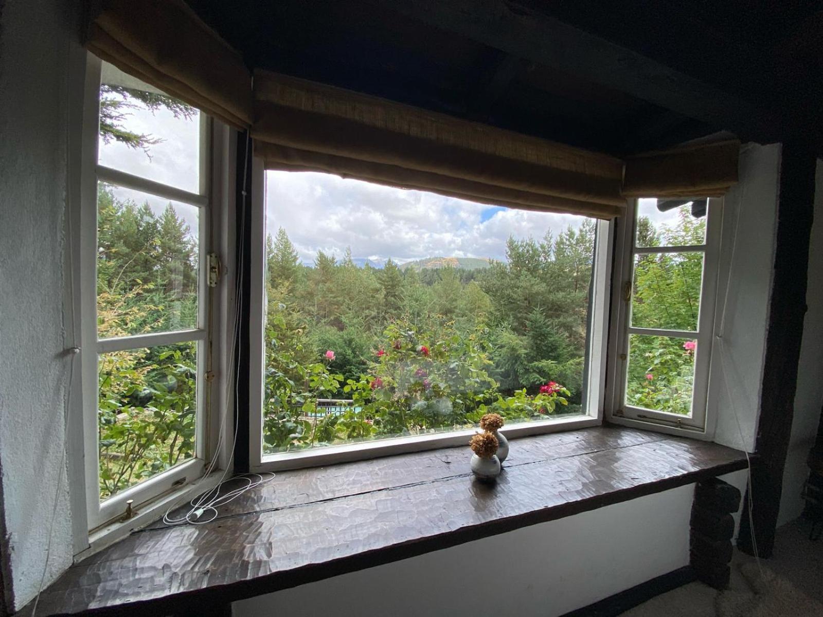 The Patagonian Lodge كويهايك المظهر الخارجي الصورة