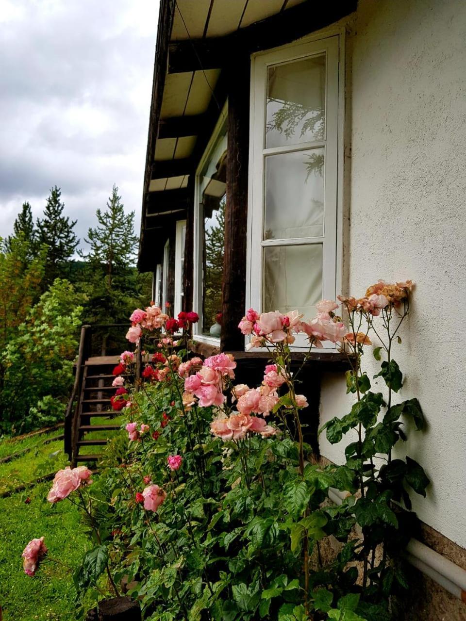 The Patagonian Lodge كويهايك المظهر الخارجي الصورة