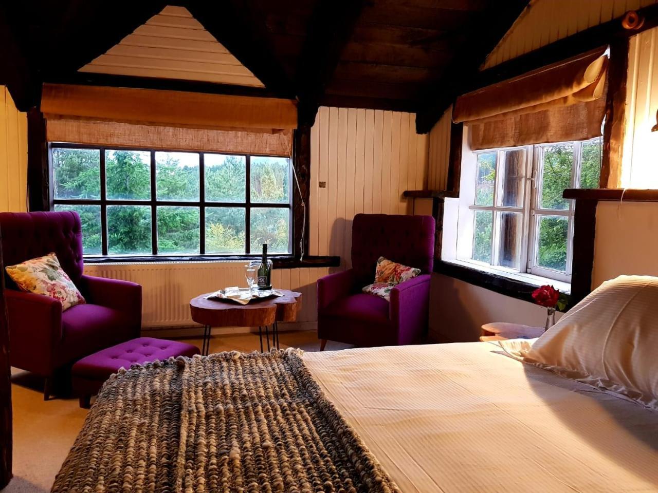 The Patagonian Lodge كويهايك المظهر الخارجي الصورة